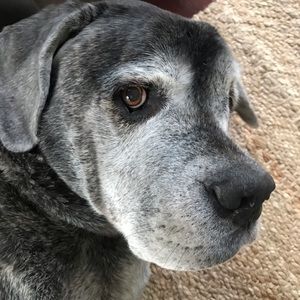 Meet your Posher, Francesca